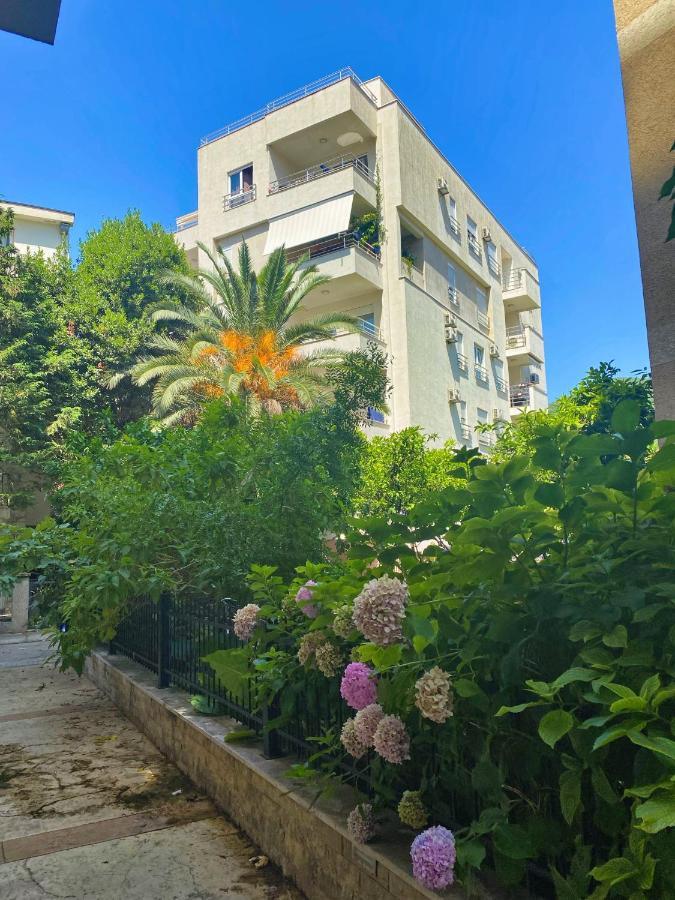 Modern 200m From The * Budva